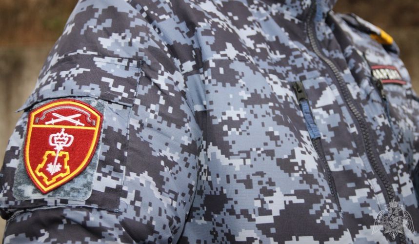 В Пскове росгвардейцы задержали подозреваемого в хищении