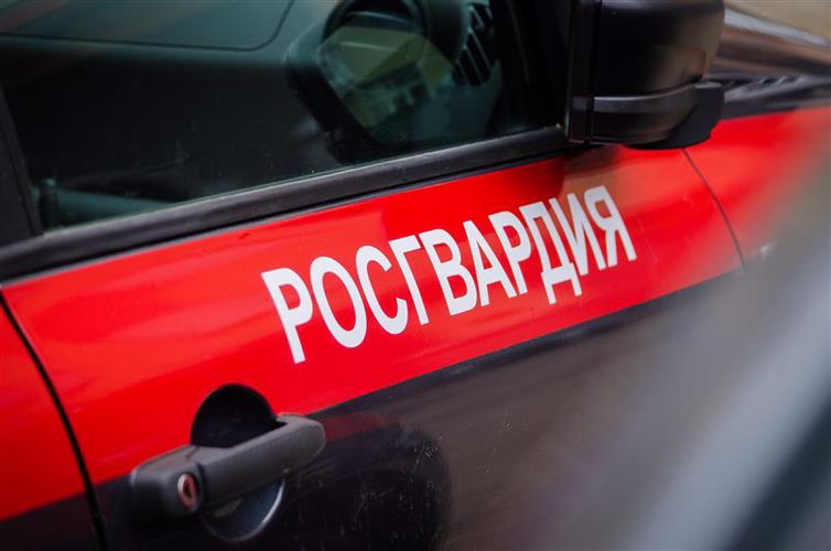 В Пскове сотрудниками Росгвардии задержан подозреваемый в краже