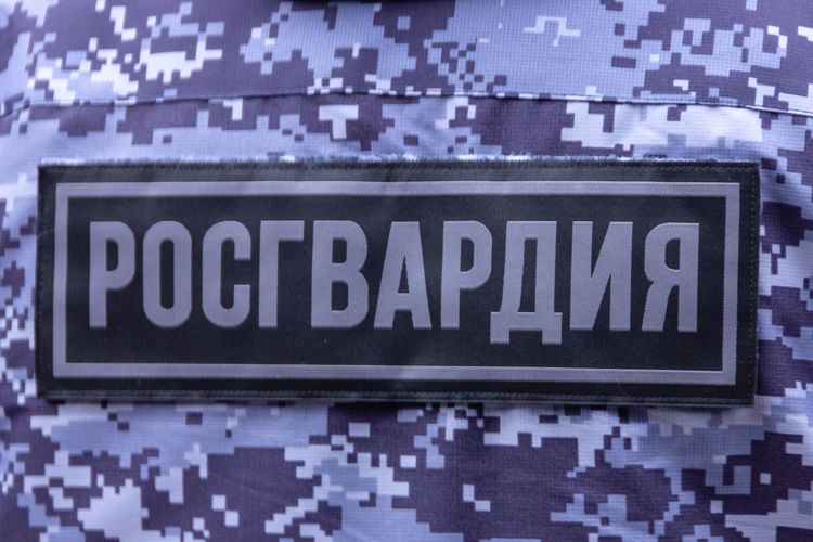 В Великих Луках росгвардейцы задержали подозреваемого в краже
