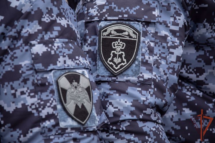 В Пскове росгвардейцами задержана подозреваемая в краже 