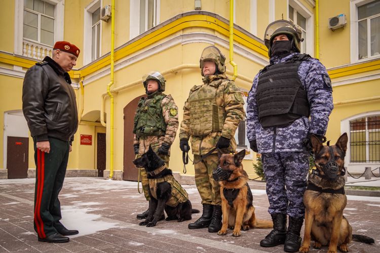 Генерал-лейтенант Алексей Воробьев рассказал о подвиге на СВО служебных собак из Пскова