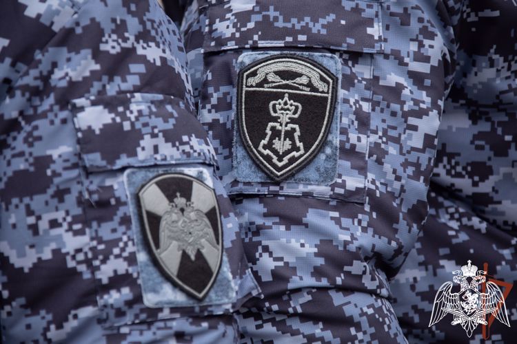 В Великих Луках росгвардейцы задержали подозреваемого в краже
