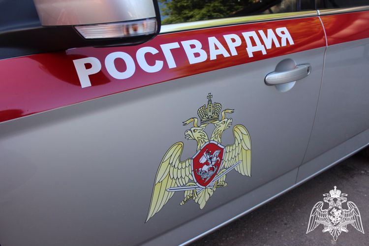 В Великих Луках росгвардейцы задержали подозреваемого в краже
