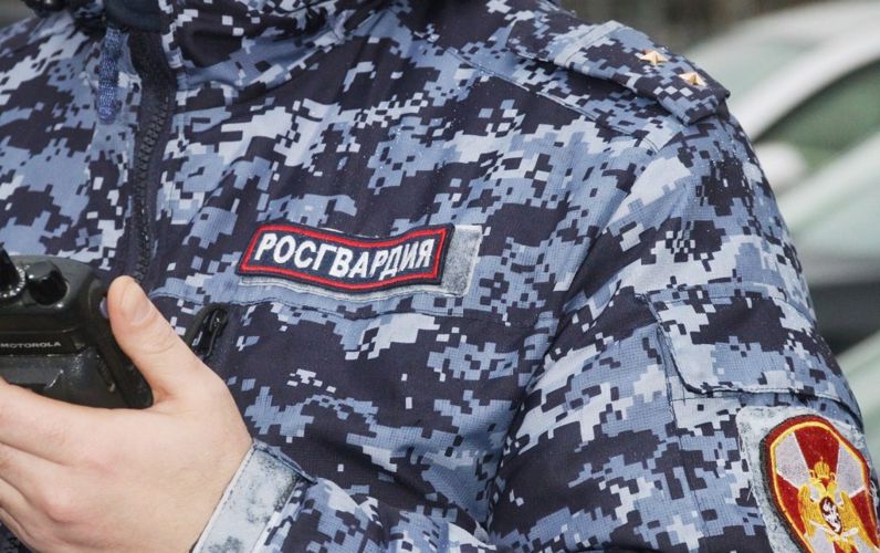 В Гдове росгвардейцы задержали подозреваемого в грабеже 