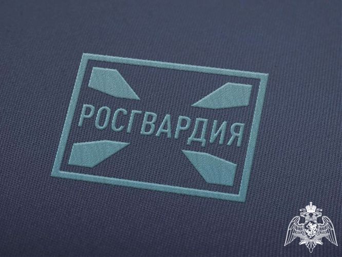 За неделю росгвардейцы изъяли 20 единиц гражданского оружия