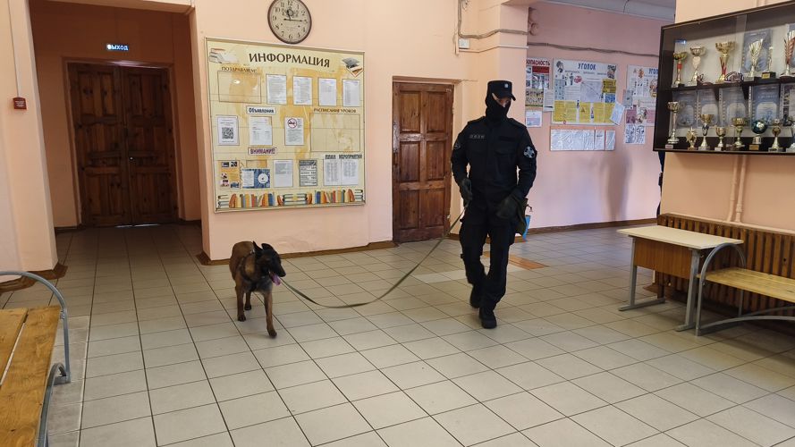 В Псковской области росгвардейцы принимают участие в обеспечении общественной безопасности на избирательных участках