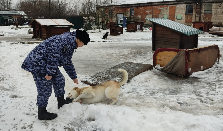 Псковские росгвардейцы посетили приют для животных