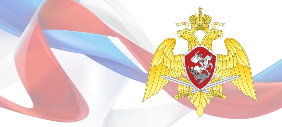 Пятнадцать нарушений законодательства в области оборота оружия выявили росгвардейцы за неделю 