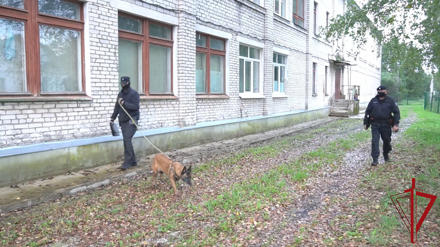 В Псковской области росгвардейцы  обеспечивают общественную безопасность при проведении мероприятий,  посвященных началу нового учебного года