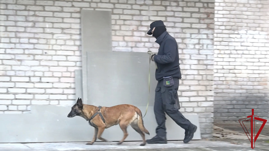 В Псковской области росгвардейцы  обеспечивают общественную безопасность при проведении мероприятий,  посвященных началу нового учебного года