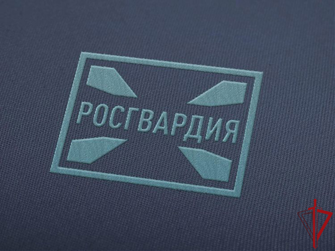 За неделю росгвардейцы изъяли 16 единиц гражданского оружия