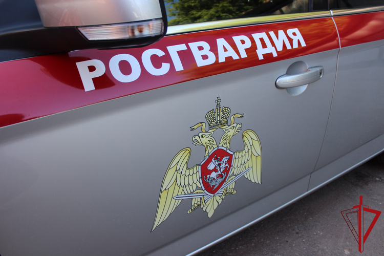 В Пскове росгвардейцы задержали подозреваемого в краже