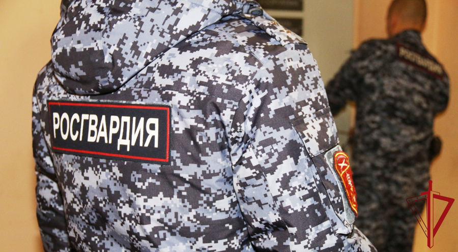 В Пскове сотрудниками Росгвардии задержаны подозреваемые в кражах