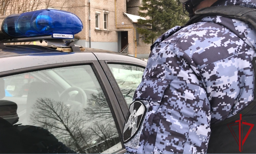 Росгвардейцы задержали подозреваемых в краже из псковского гипермаркета