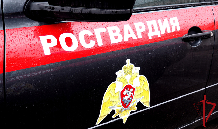 Росгвардейцы задержали двух подозреваемых в кражах из магазинов в Пскове