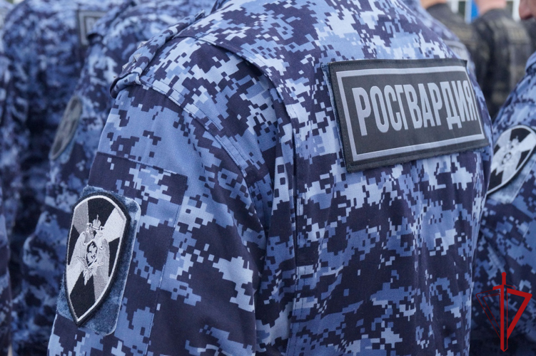 В Пскове росгвардейцы задержали подозреваемого в краже