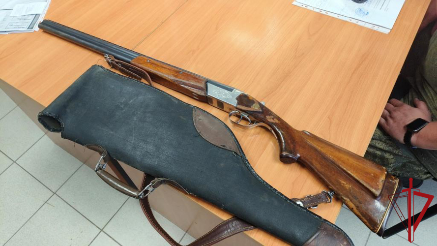 Более 300 патронов и изъяли росгвардейцы у жителей Псковской области за неделю