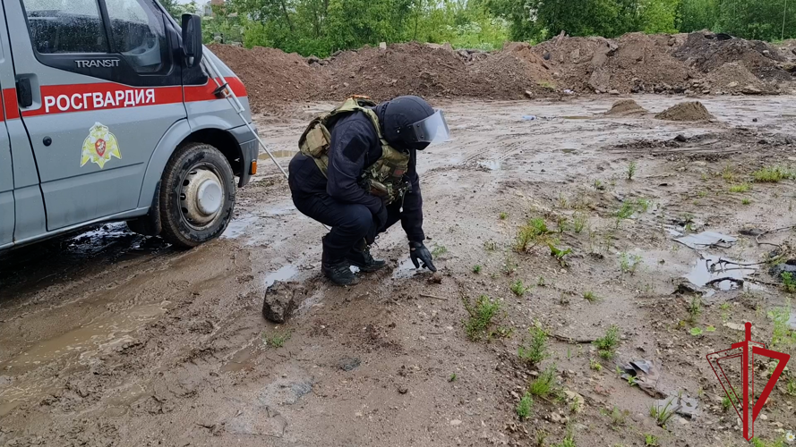В Пскове взрывотехники Росгвардии обезвредили боеприпас времён Великой Отечественной войны