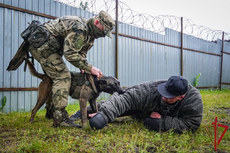 В Северо-Западном округе Росгвардии стартовал летний период подготовки