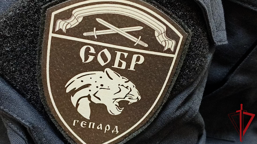  В Псковской области при поддержке спецназа Росгвардии задержан подозреваемый в убийстве
