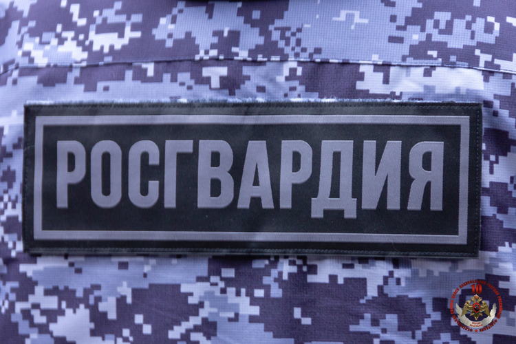 В Пскове сотрудники Росгвардии задержали подозреваемого в краже
