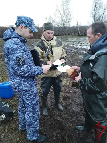 Росгвардейцы провели профилактическое мероприятие «Охота» в Псковской области 