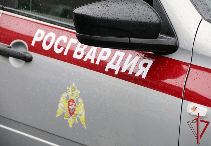 Сотрудники вневедомственной охраны Росгвардии пресекли хищение в магазине в Пскове