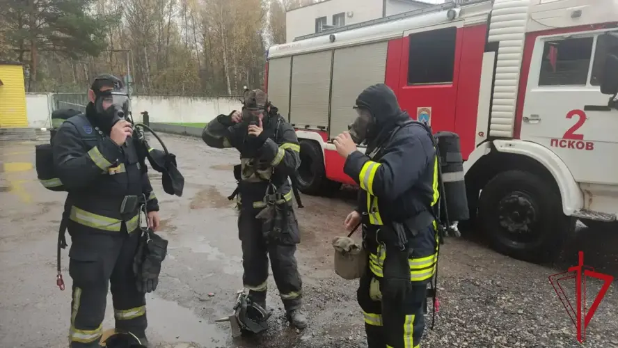 Межведомственное взаимодействие на практике 
